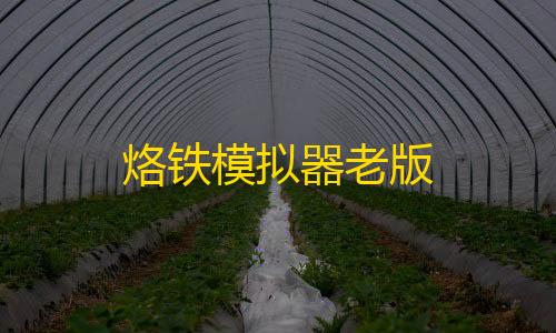 暗区买挂网址烙铁模拟器老版